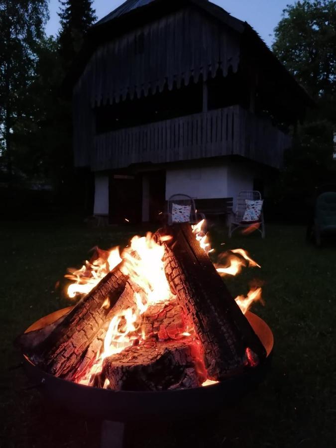 Pension Gut Trogern Bad Eisenkappel Zewnętrze zdjęcie