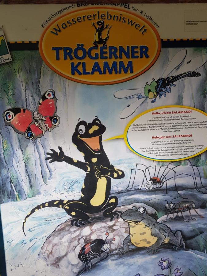 Pension Gut Trogern Bad Eisenkappel Zewnętrze zdjęcie