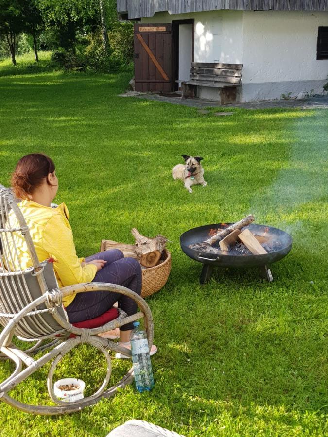 Pension Gut Trogern Bad Eisenkappel Zewnętrze zdjęcie