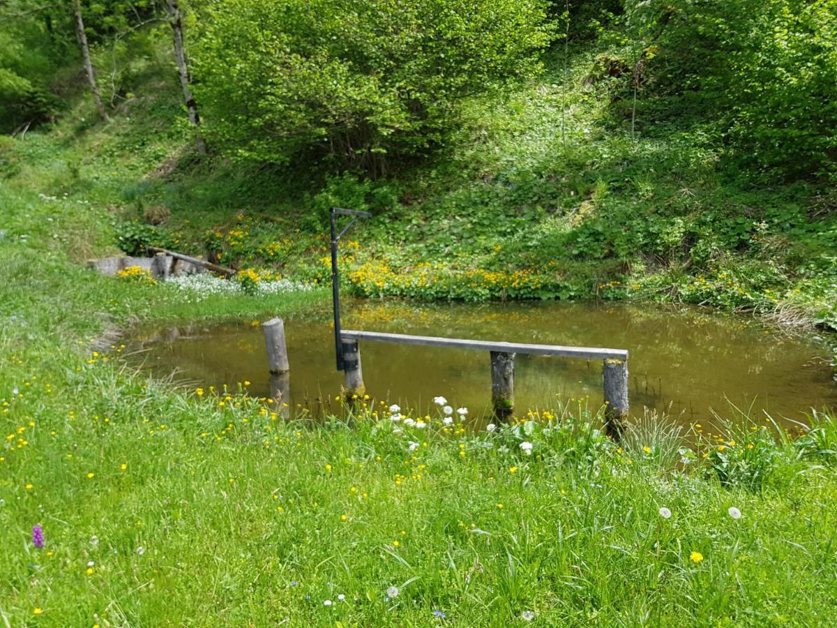 Pension Gut Trogern Bad Eisenkappel Zewnętrze zdjęcie